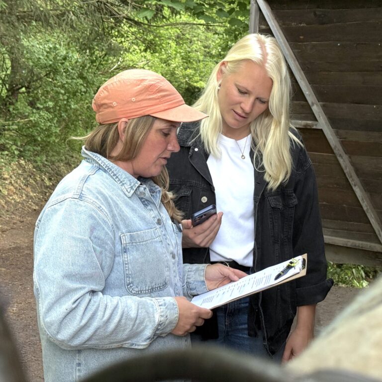 formidabel – sozialpädagogische Schule